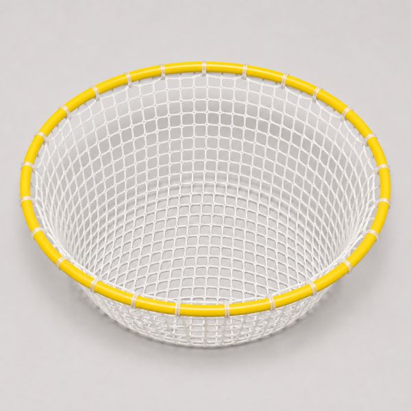 Training Hoop with Net