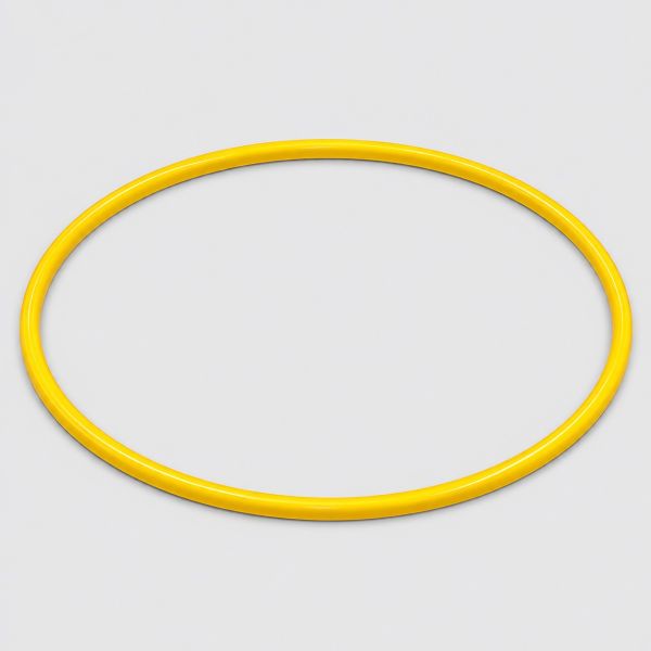 Training Hoop